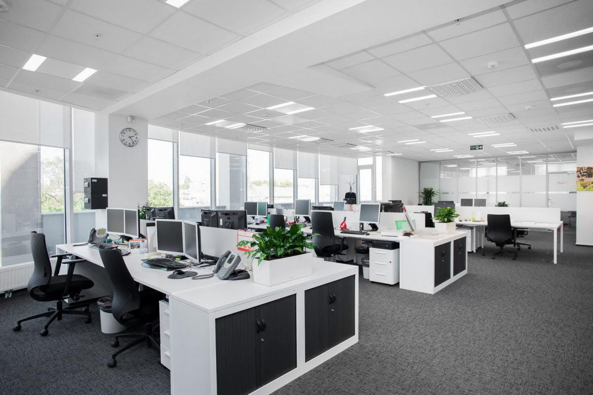 Thi công nội thất văn phòng trọn gói tại Hải Phòng lấy cây xanh làm điểm nhấn