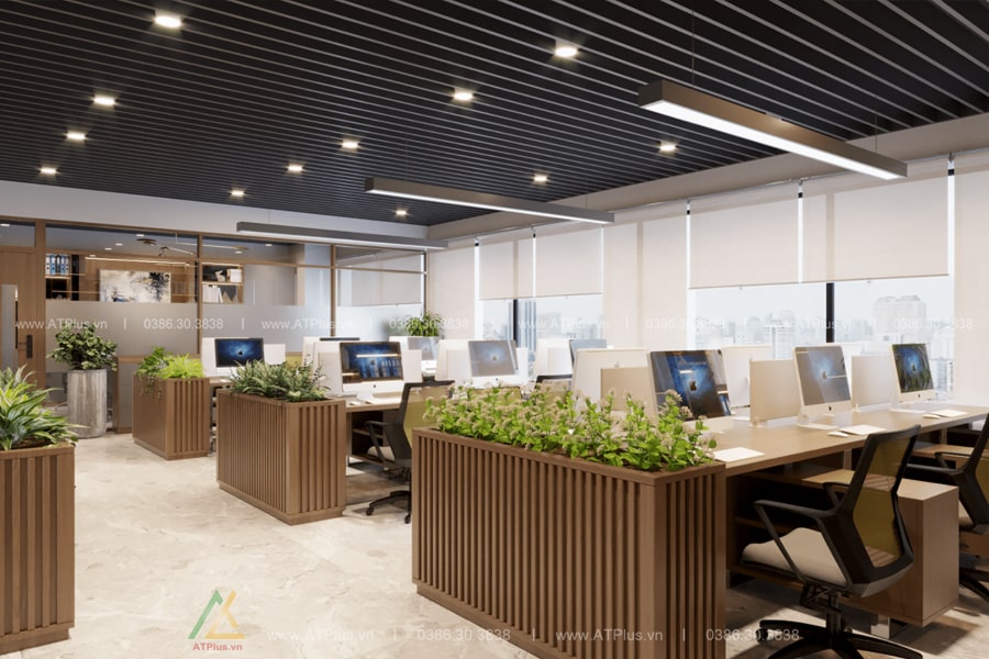 Trang trí thiết kế thi công nội thất văn phòng tại Ninh Bình