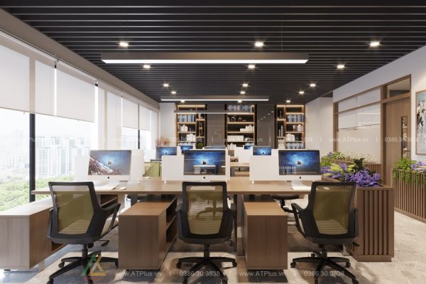 Thiết kế thi công nội thất văn phòng tại Ninh Bình